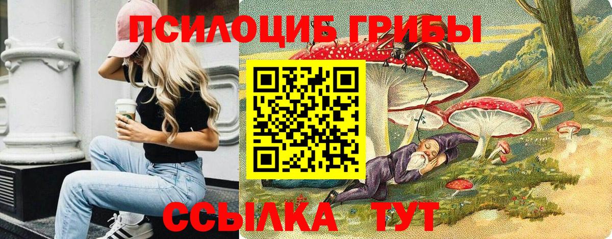 Галлюциногенные грибы Psilocybe  Галлюциногенные грибы Psilocybine cubensis  Моздок  Вход с VPN 